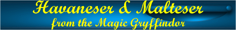 Banner%20Zwinger03