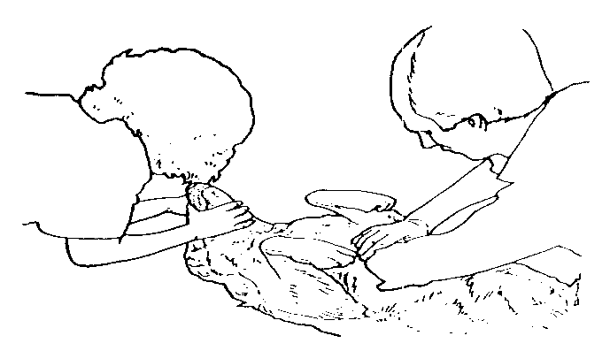 IMAGE16