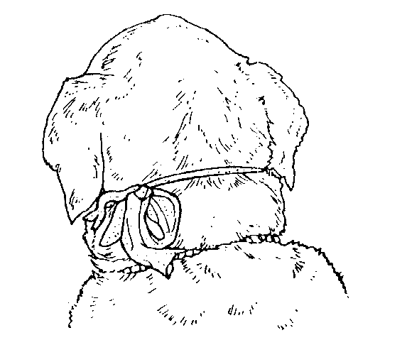 IMAGE20