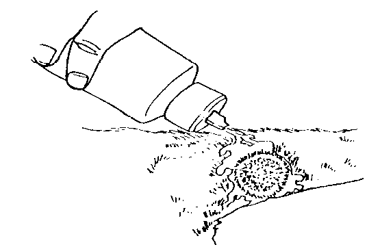 IMAGE22