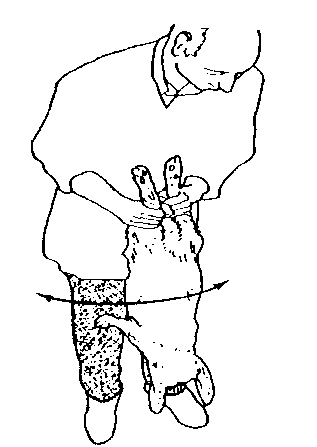 IMAGE23