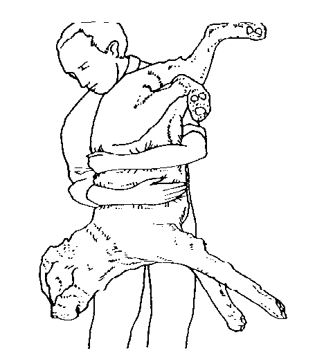 IMAGE24