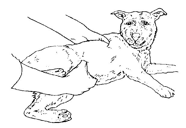 IMAGE25