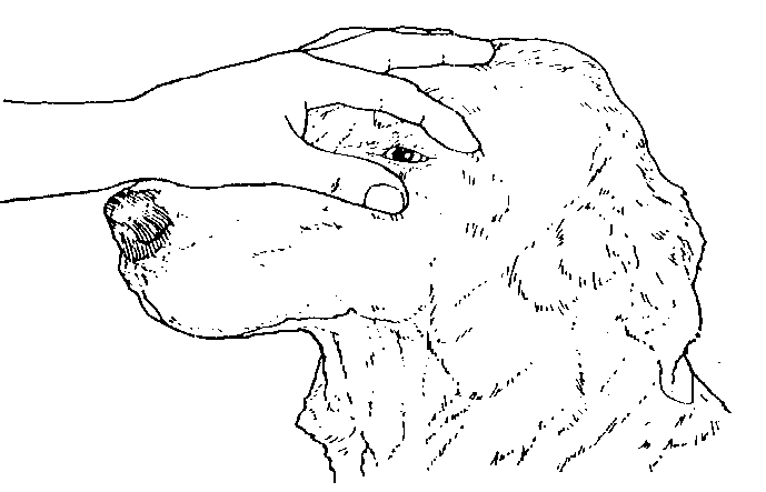 IMAGE9