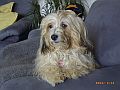 RIMG0008 klein