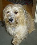 RIMG0026 klein