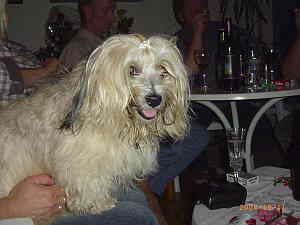 MARGITS_GEBURTSTAG02