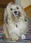 SAMMY_021004_KLEIN