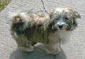 SAMMY_031002_A_KLEIN