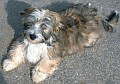 SAMMY_031002_B_KLEIN