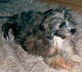 SAMMY_031002_KLEIN