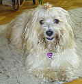 SAMMY_051004_A_KLEIN
