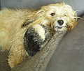 SAMMY_051004_KLEIN