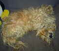 SAMMY_101203_KLEIN