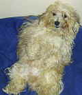 SAMMY_231103_KLEIN