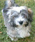 SAMMY_300902_KLEIN