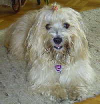SAMMY_51020040202