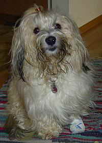 SAMMY_MIT_VERBAND02