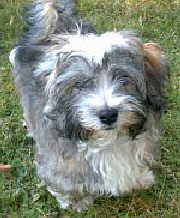 SAMMY_TAG_EINS02