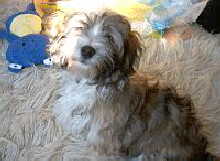 SAMMY_TAG_EINS_102