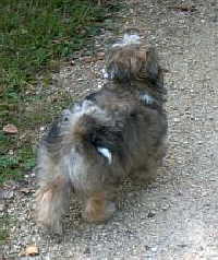 SAMMY_TAG_EINS_202